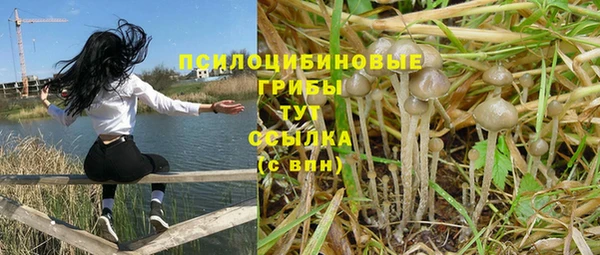 прущий лед Аркадак
