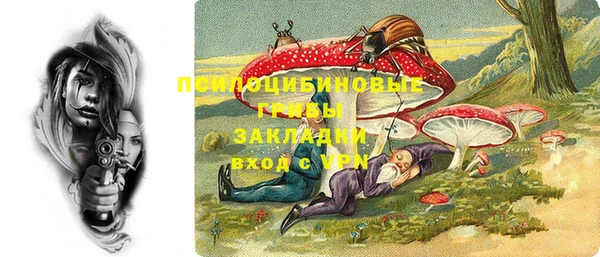 экстази Арсеньев