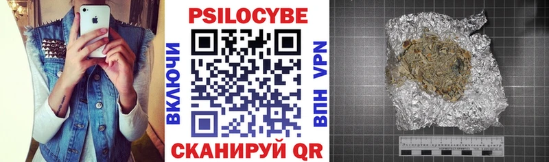 omg онион  хочу   Сосенский  Псилоцибиновые грибы Psilocybe 