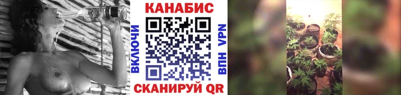 darknet клад  Сосенский  Конопля SATIVA & INDICA 